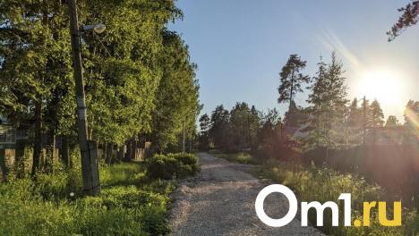 В Омской области более 4 тысяч жителей пострадали от укусов клещей