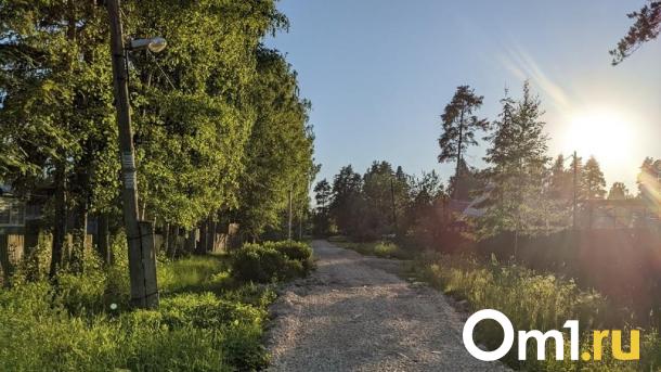 В Омской области более 4 тысяч жителей пострадали от укусов клещей