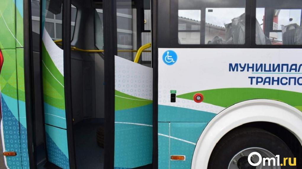 Из Омска запустят прямые автобусные рейсы в три населённых пункта