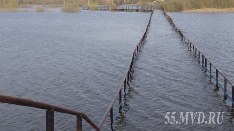 В Тевризском районе Омской области вода разрушила мост