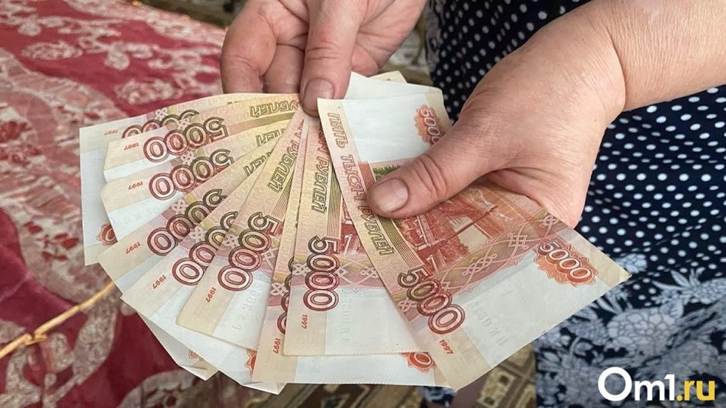 Омичка с помощью дополнительного заработка потеряла почти миллион рублей