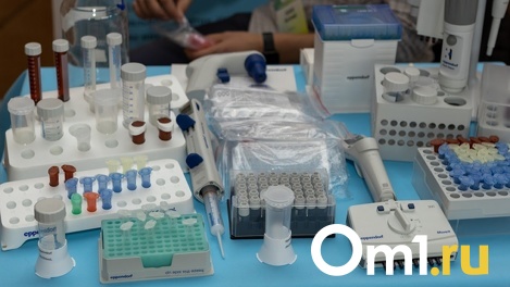 У 88% заболевших COVID-19 обнаружили омикрон-штамм в Новосибирской области