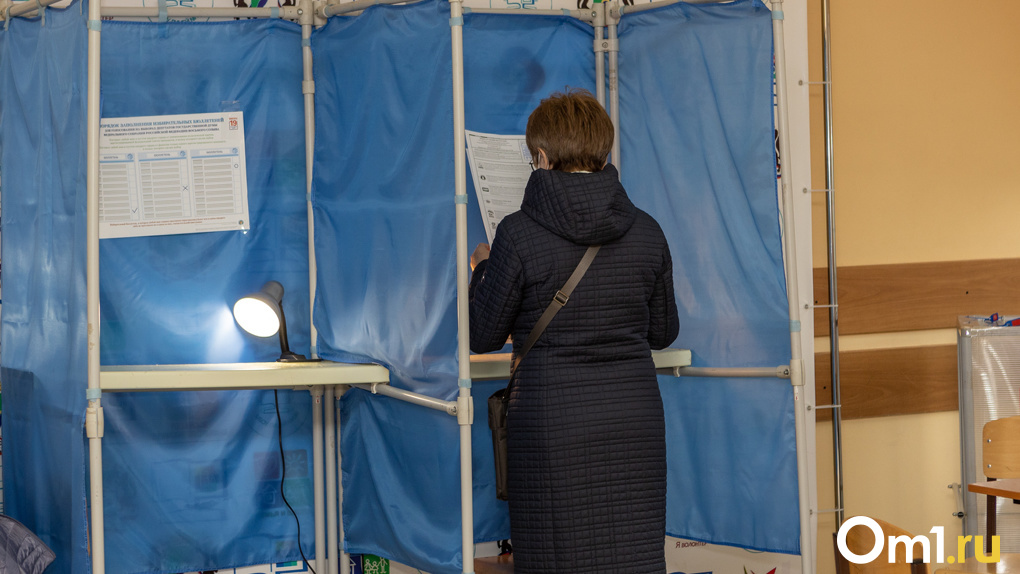 Политологи выступили за отмену прямых выборов мэра Новосибирска