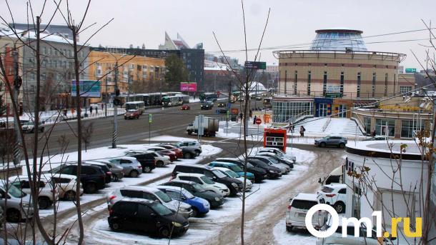 После потепления на Омскую область обрушится мощный снегопад