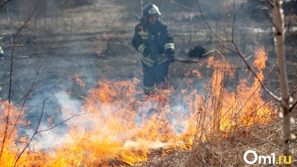 355 человек оштрафовали за нарушение пожарной безопасности в Новосибирской области
