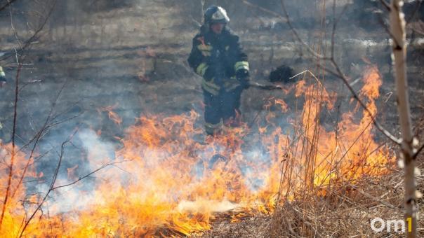 355 человек оштрафовали за нарушение пожарной безопасности в Новосибирской области