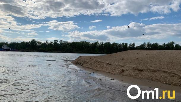 В Омске по цене «однушки» продают базу отдыха с собственным пляжем