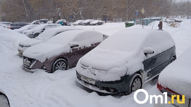 Количество январских осадков в Новосибирске превысило норму в два раза