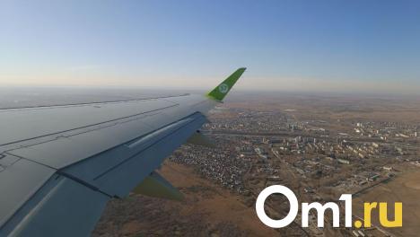 Самолёт, летевший из Омска в Москву, сильно обледенел
