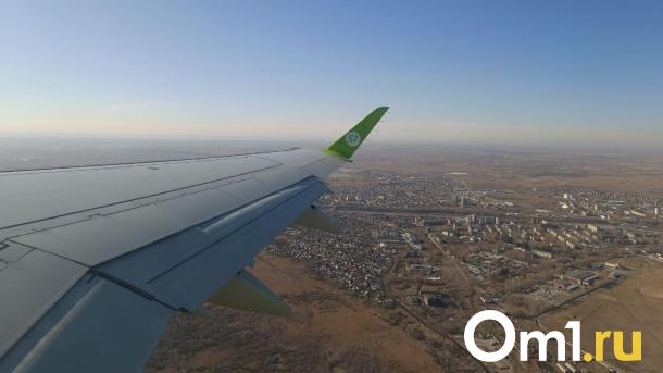 Самолёт, летевший из Омска в Москву, сильно обледенел
