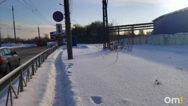 В Новосибирской области заметили пауков на снегу: биолог объяснил феномен
