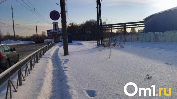 В Новосибирской области заметили пауков на снегу: биолог объяснил феномен