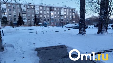 «Трупная вонь разъедала глаза»: в Омске целый дом отмечал Новый год в окружении невыносимого запаха