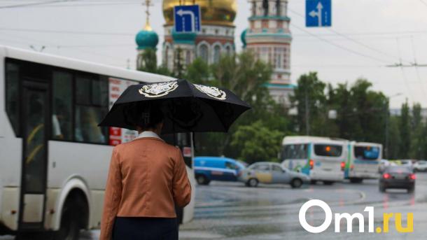 Центральные улицы затопило: фоторепортаж с первого летнего ливня