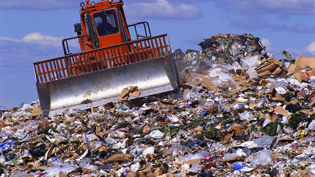 Назначена экспертиза для определения возможности строительства мусорного полигона в Новосибирском районе