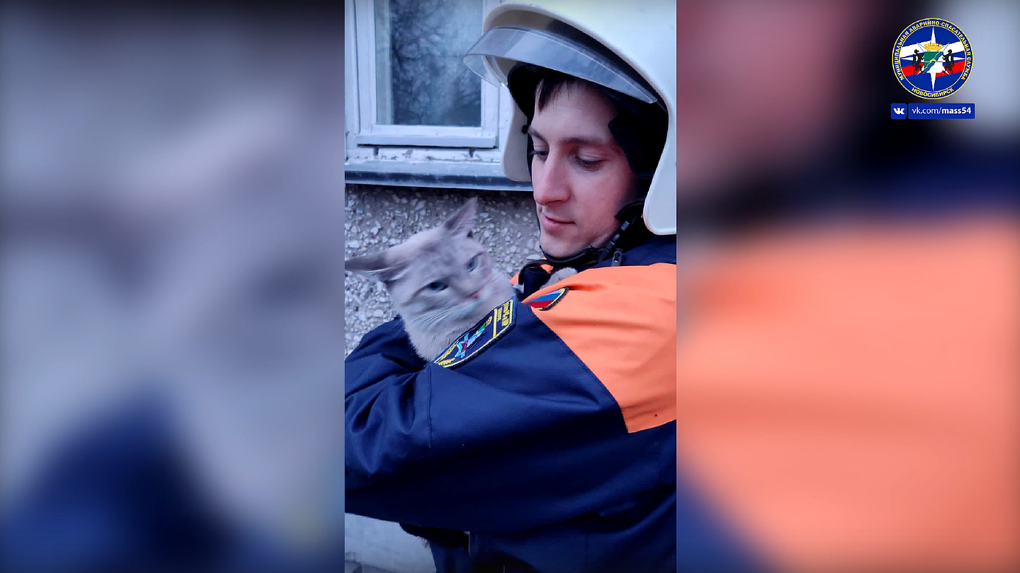 В Новосибирске застрявшей на дереве девушке с котом помогли спасатели