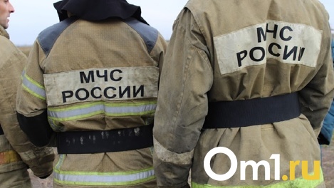 Роковое утро: женщина-инвалид погибла при пожаре в Омской области