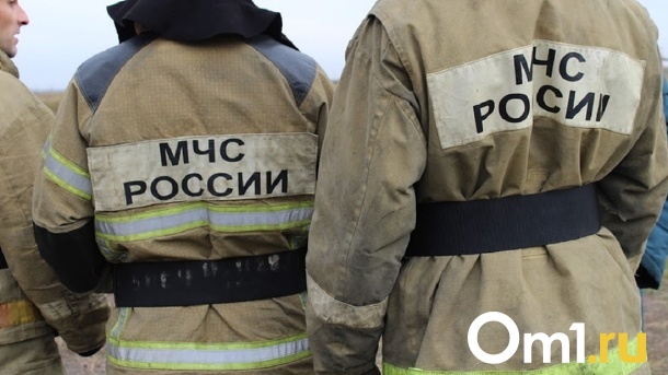 Роковое утро: женщина-инвалид погибла при пожаре в Омской области