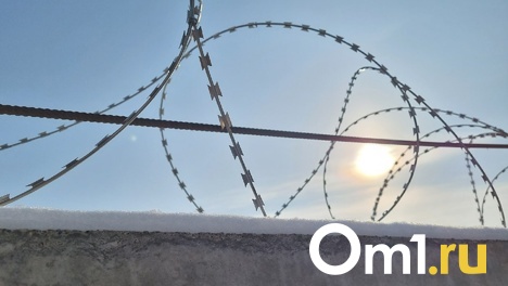 Приехавшего в Омск из Казахстана студента приговорили к двум годам тюрьмы за сбыт фальшивых денег