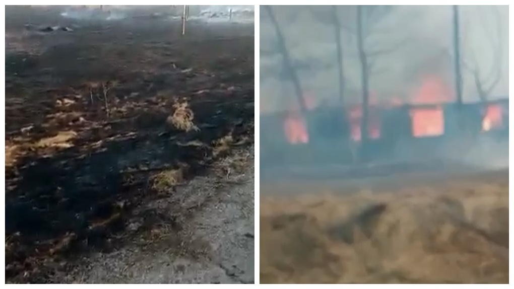Горе сельчанам. Несколько домов дотла сгорели в Венгеровском районе Новосибирской области. ВИДЕО