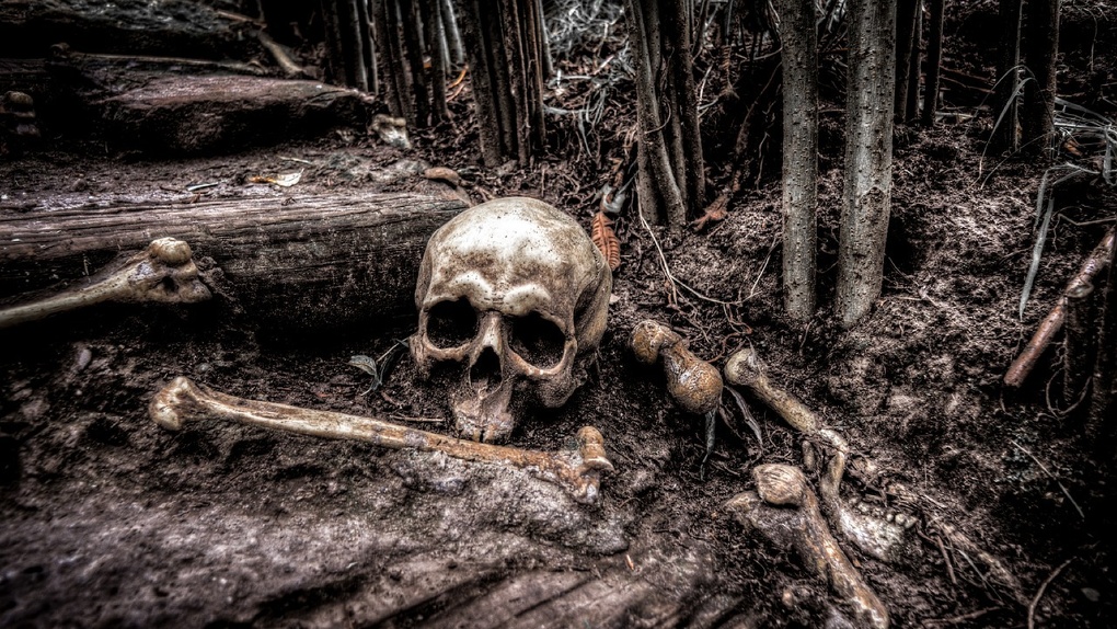 В центре Омска дети нашли множество человеческих костей