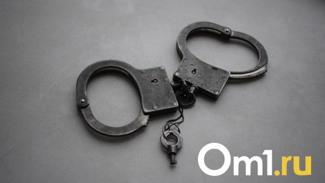 Омского застройщика отправили в колонию за обман дольщиков на 28 миллионов рублей