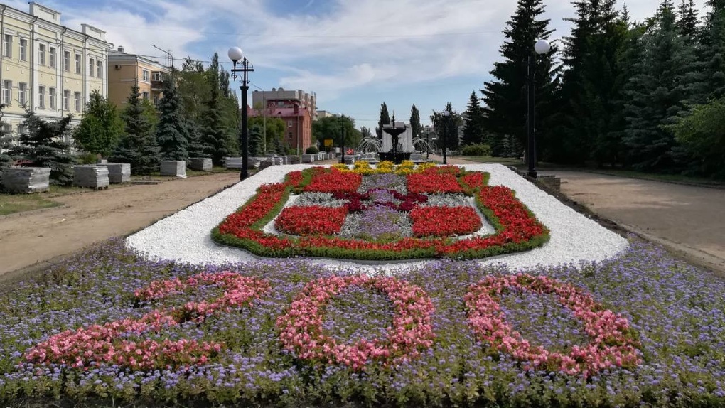 В Омске из 12 500 цветов высадили герб региона