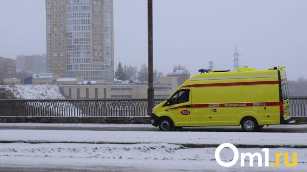 В Омске маршрутка сбила 16-летнюю школьницу
