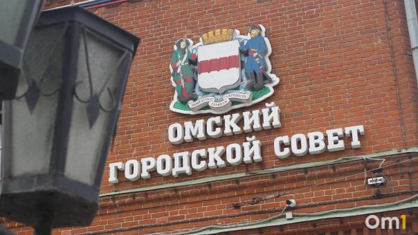 Депутаты считают, что Омску необходим ортофотоплан. Что это?
