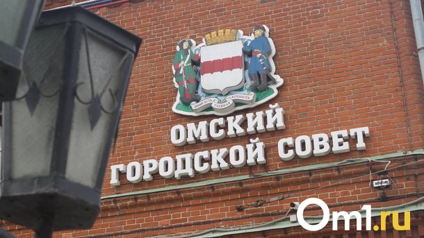 Депутаты считают, что Омску необходим ортофотоплан. Что это?