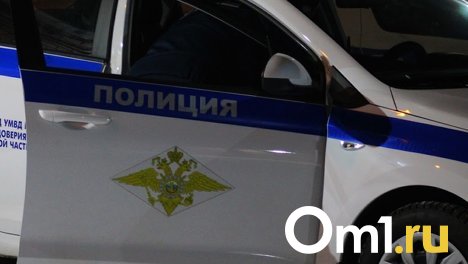 В Омской области ищут пенсионера, который пропал ещё в марте