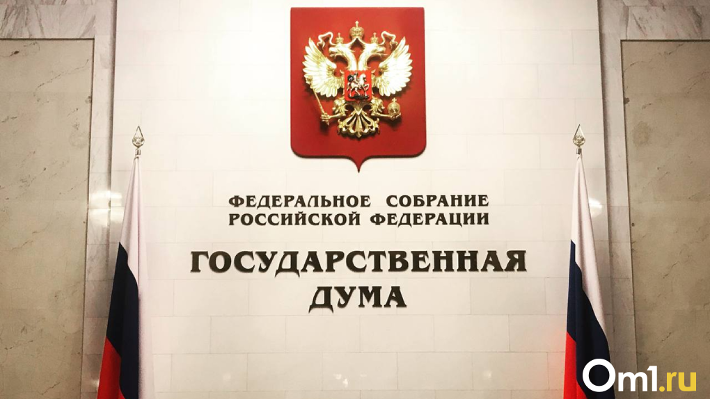 «Может иметь негативные последствия»: новосибирские депутаты Госдумы высказались о резонансном законе