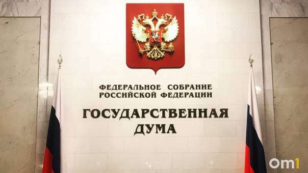 «Может иметь негативные последствия»: новосибирские депутаты Госдумы высказались о резонансном законе