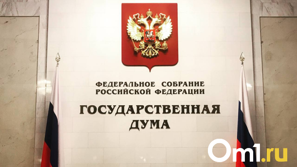 «Может иметь негативные последствия»: новосибирские депутаты Госдумы высказались о резонансном законе
