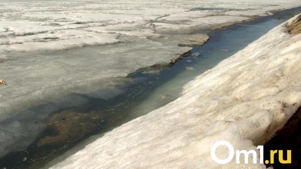 Река, впадающая в Иртыш, оказалась загрязнена вредным веществом