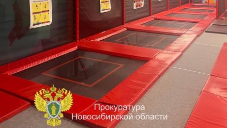 В Новосибирске директора обвиняют в оказании опасных услуг, покалечивших детей