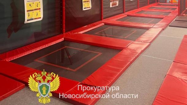 В Новосибирске директора обвиняют в оказании опасных услуг, покалечивших детей