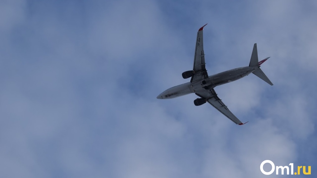 Грузовой самолёт из Люксембурга дважды пытался аварийно сесть в Новосибирске