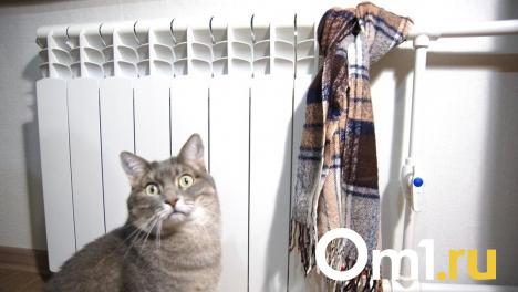 В Омске подключили к теплу больше 3 000 жилых домов