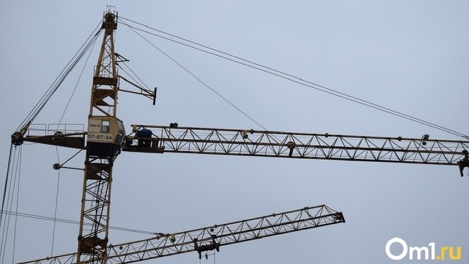 Застройку Заельцовского бора разрешили депутаты горсовета Новосибирска