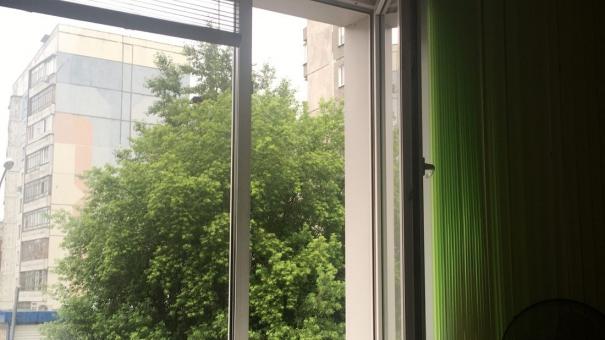 4 августа в Новосибирске ожидаются 31-градусная жара, грозы и ветер