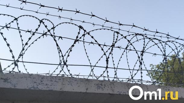 В Омске отправили в СИЗО иностранца, который надругался над девочкой-подростком