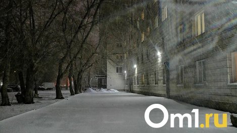 Снег в Новосибирске может выпасть уже в конце октября