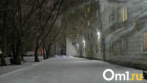 Снег в Новосибирске может выпасть уже в конце октября