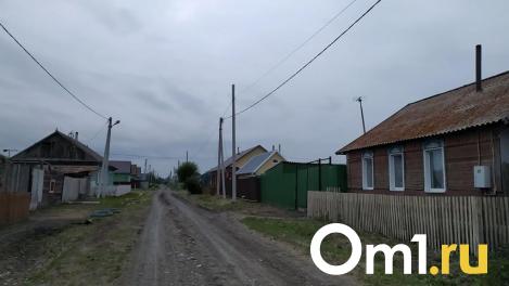 Бастрыкин поручил доложить информацию о неблагополучной семье из Омской области