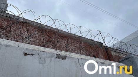 Омич сел за решётку за распространение детской порнографии