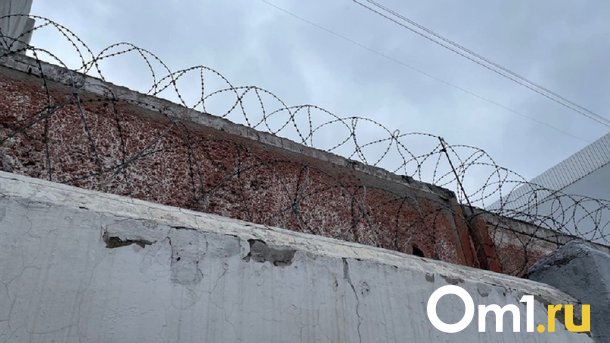 Омич сел за решётку за распространение детской порнографии