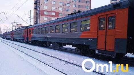 В поезде из Москвы умерла семимесячная девочка из Омска