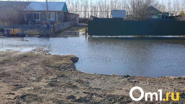 Виталий Хоценко отправился в районы Омской области, пострадавшие от паводка