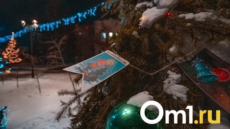Перед Новым годом Омскую область накроют туман и снегопады